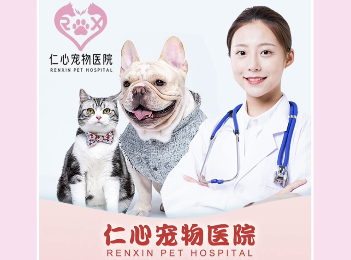 仁心扬州线上分站